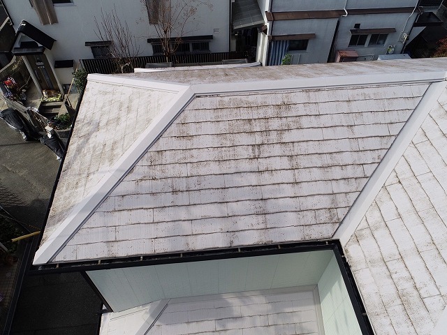 経年劣化している大屋根